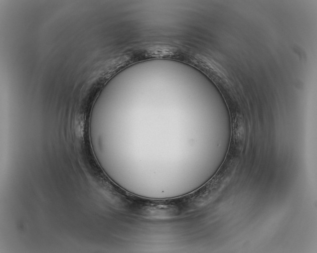 X0000113360315200909291035