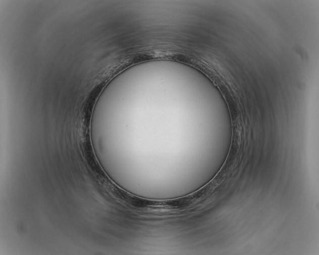 X0000113360316200909291035