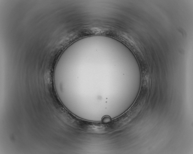 X0000113360317200909291035