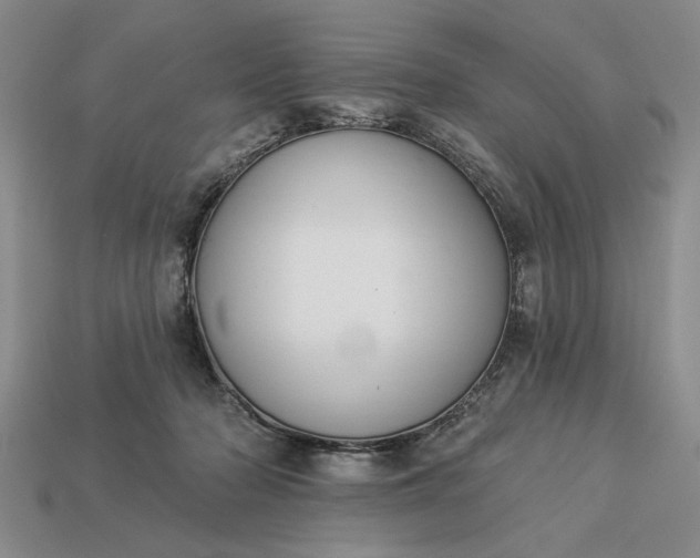 X0000113360318200909291035