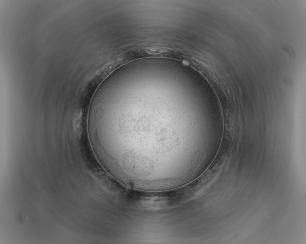 X0000113360319200909291035