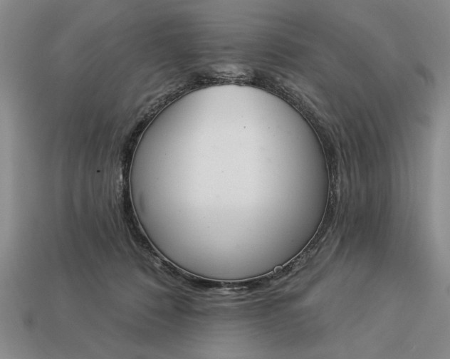 X0000113360320200909291035