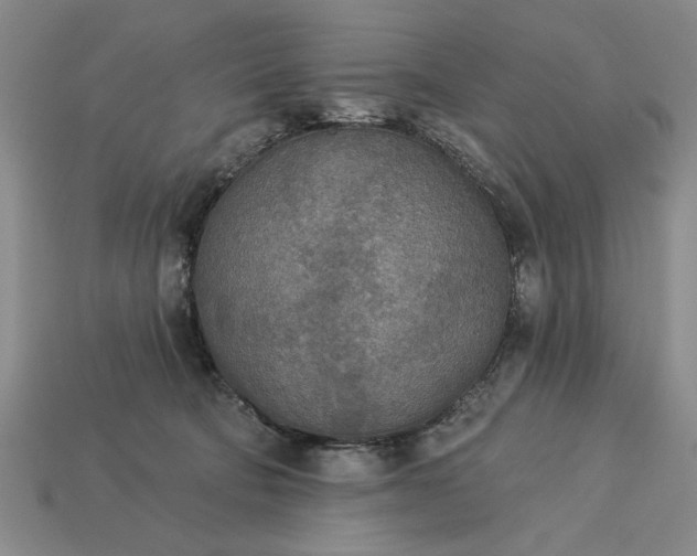 X0000113360322200909291035