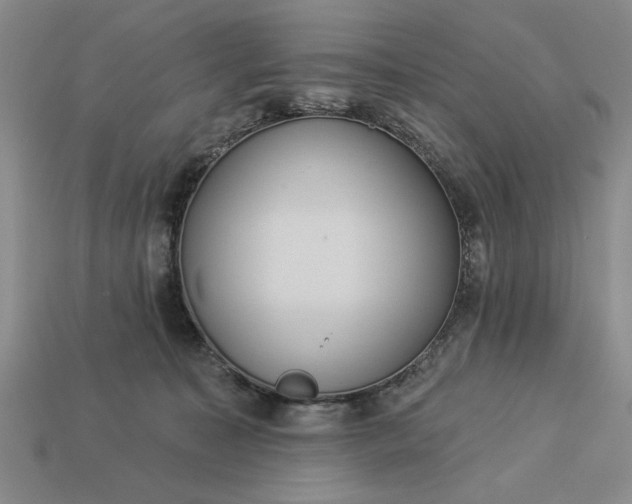 X0000113360323200909291035