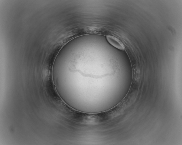 X0000113360324200909291035