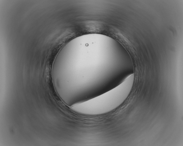 X0000113360325200909291035