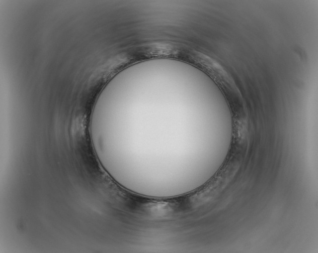 X0000113360326200909291035