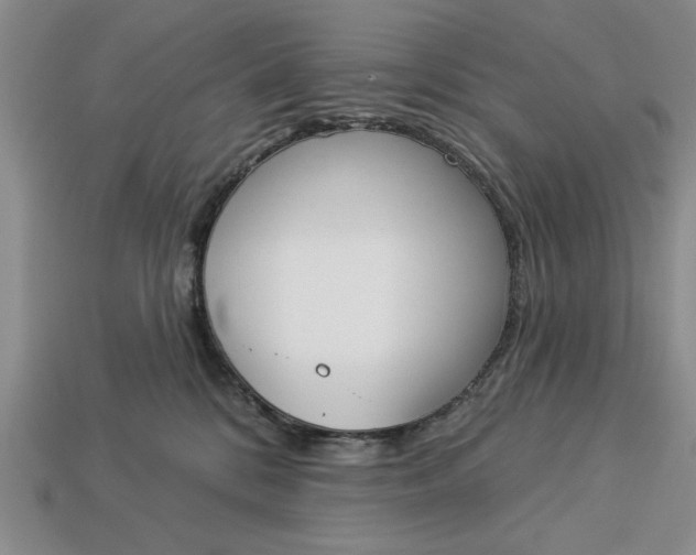 X0000113360328200909291035