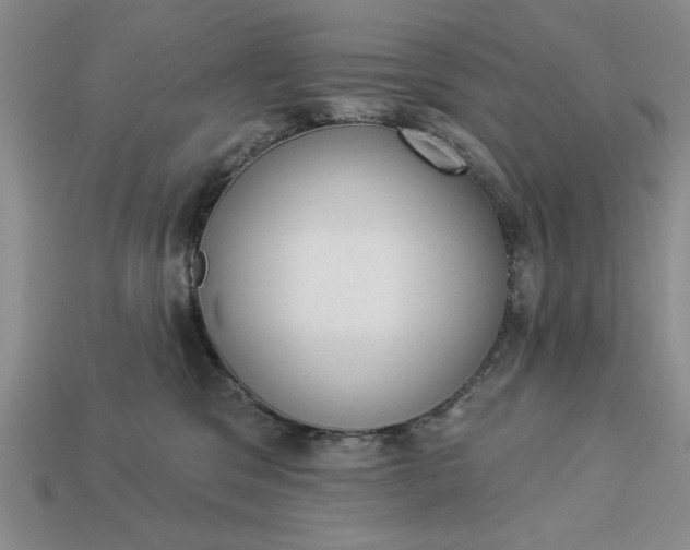 X0000113360329200909291035