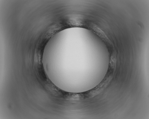 X0000113360330200909291035