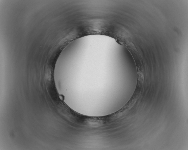 X0000113360331200909291035