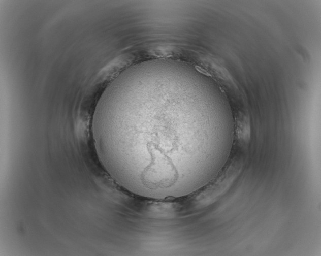 X0000113360332200909291035