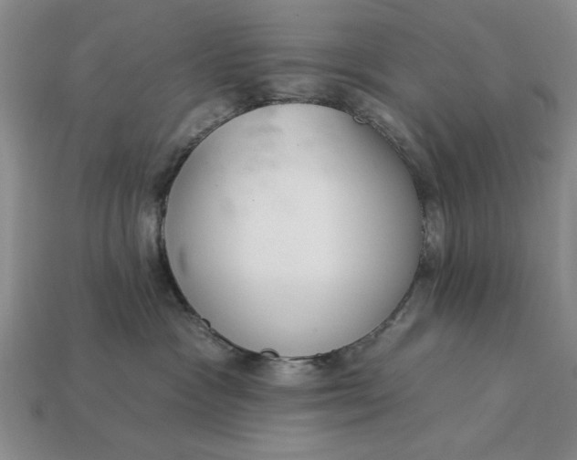 X0000113360333200909291035