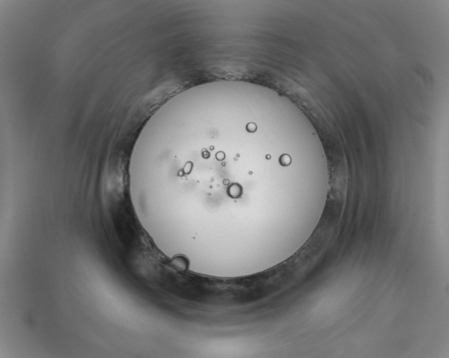 X0000113360334200909291035