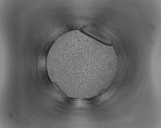 X0000113360336200909291035