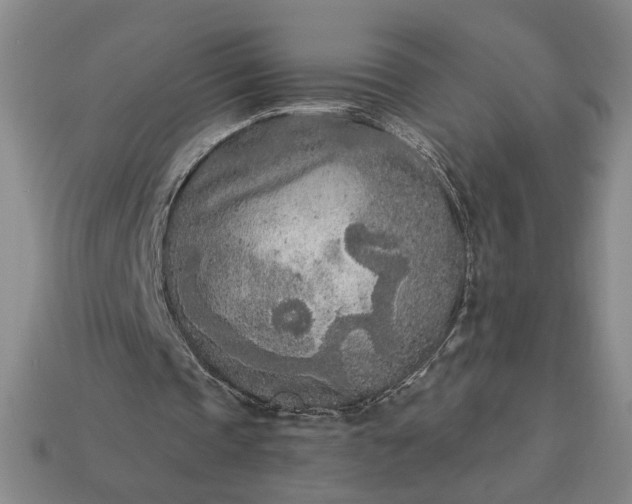 X0000113360337200909291034