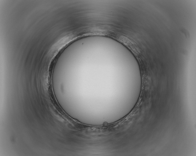 X0000113360338200909291034