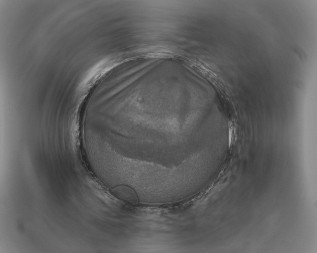 X0000113360339200909291034