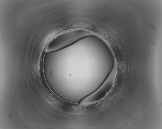 X0000113360340200909291034