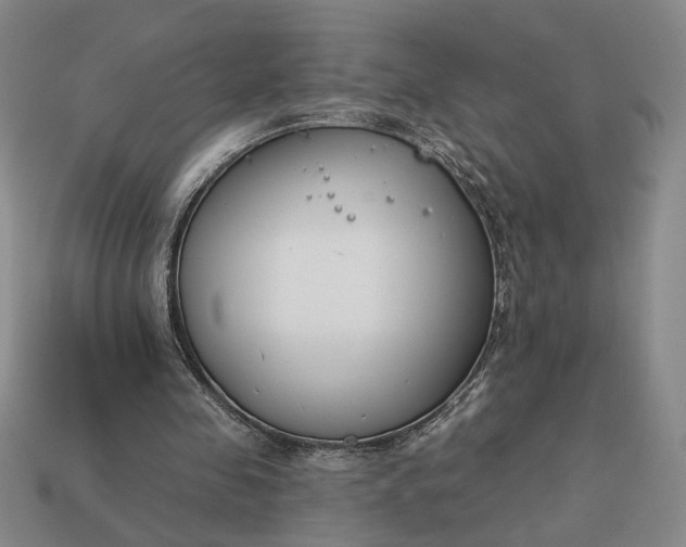 X0000113360341200909291034