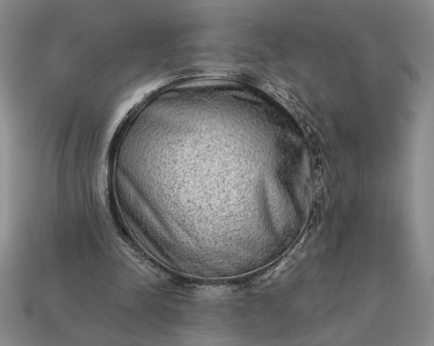 X0000113360342200909291034