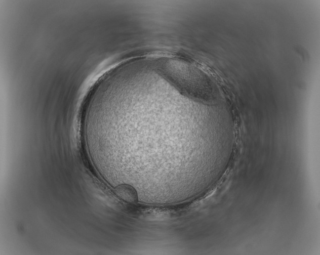 X0000113360343200909291034