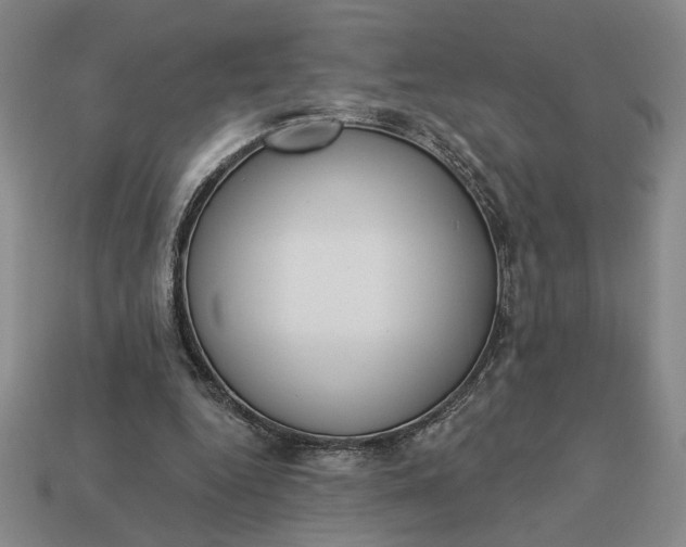 X0000113360344200909291034