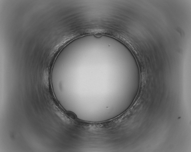 X0000113360345200909291034