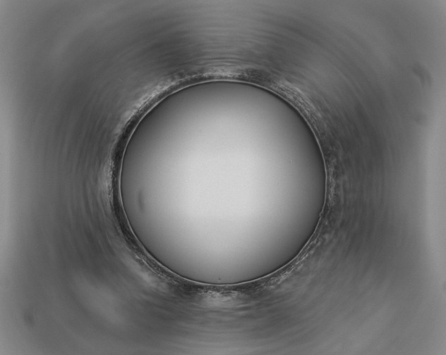 X0000113360346200909291034