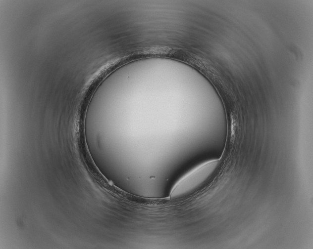 X0000113360348200909291034