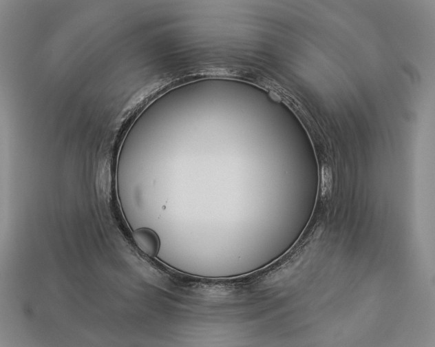 X0000113360349200909291034