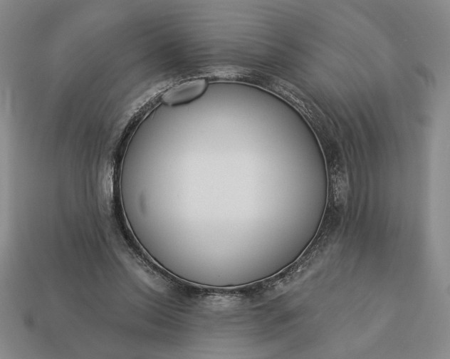 X0000113360350200909291035