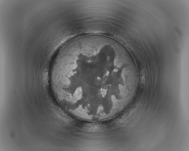 X0000113360351200909291035