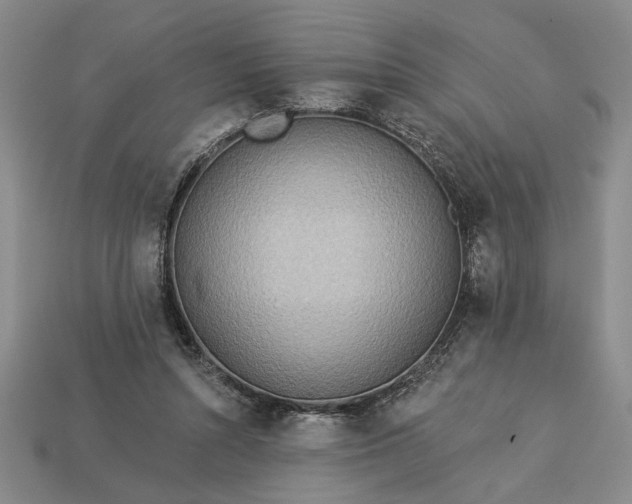 X0000113360352200909291035