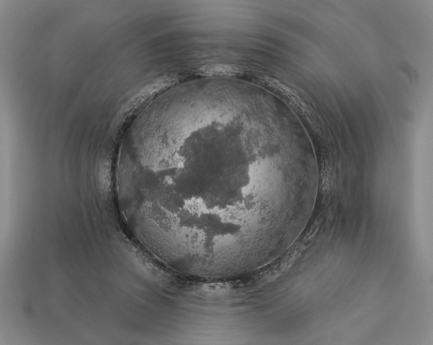 X0000113360353200909291035