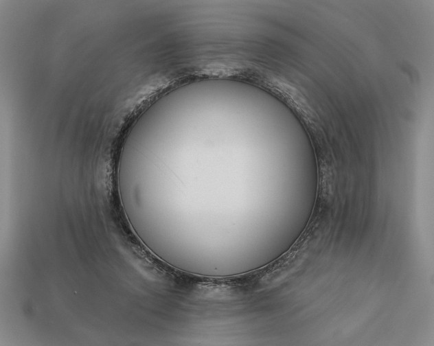 X0000113360354200909291035