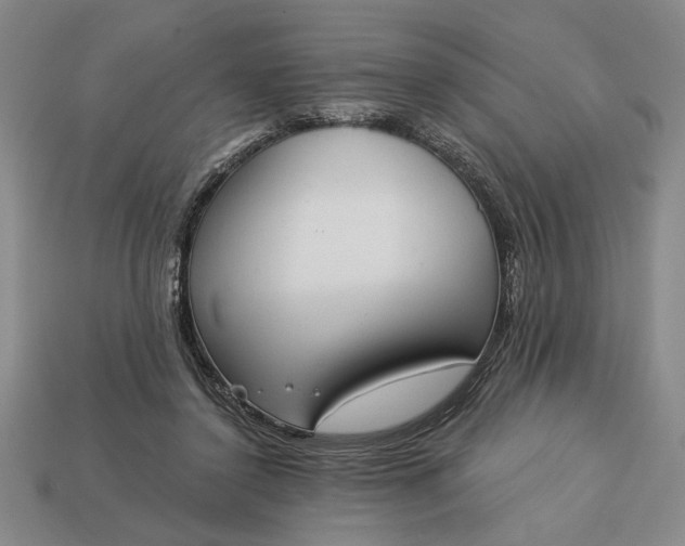 X0000113360356200909291035