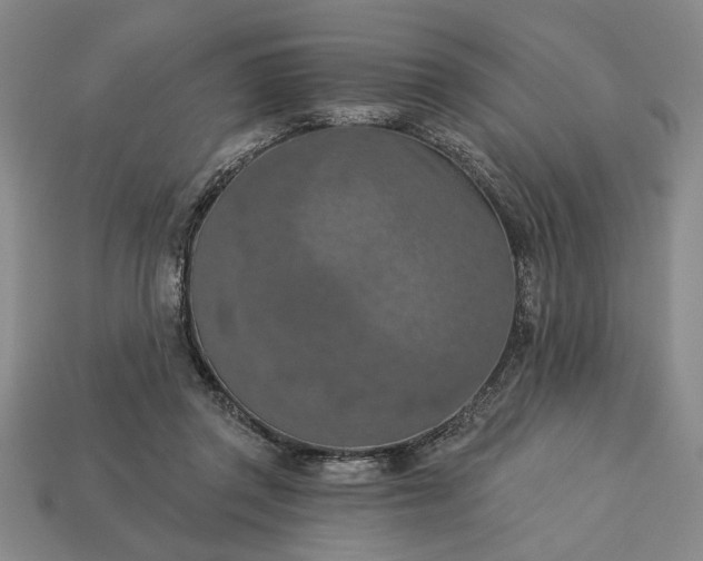 X0000113360357200909291035