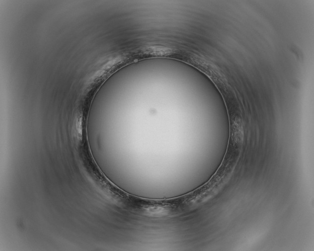 X0000113360358200909291035