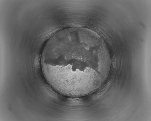 X0000113360359200909291035