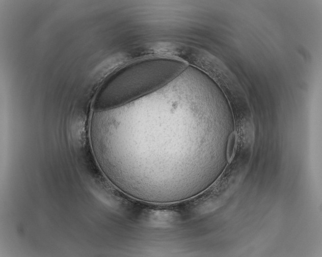 X0000113360360200909291035