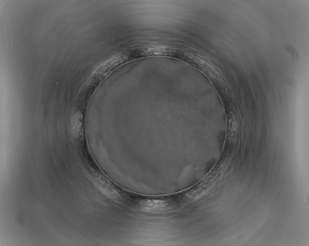 X0000113360361200909291035