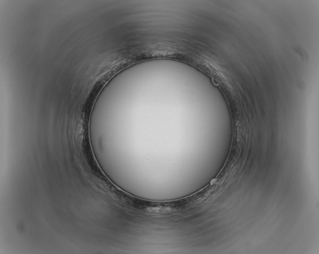 X0000113360362200909291035