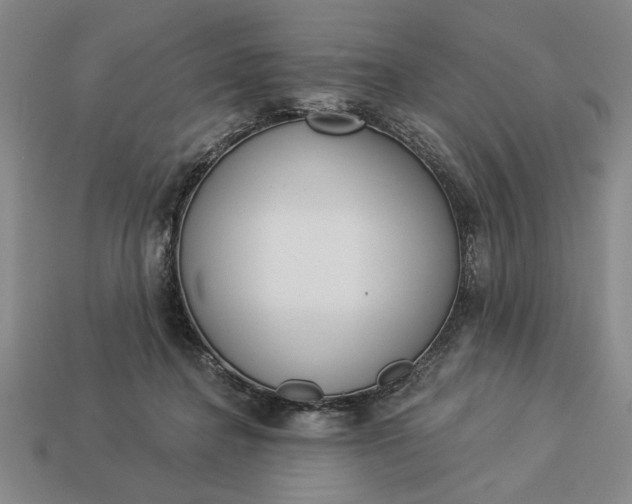 X0000113360364200909291035