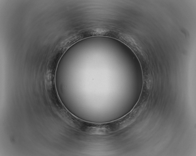 X0000113360366200909291035