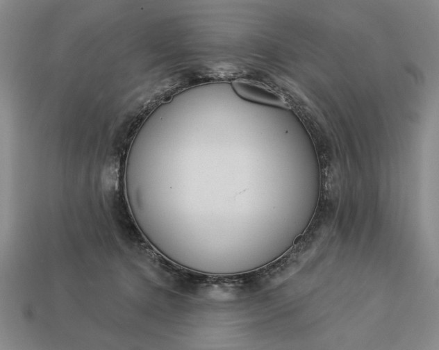 X0000113360368200909291035