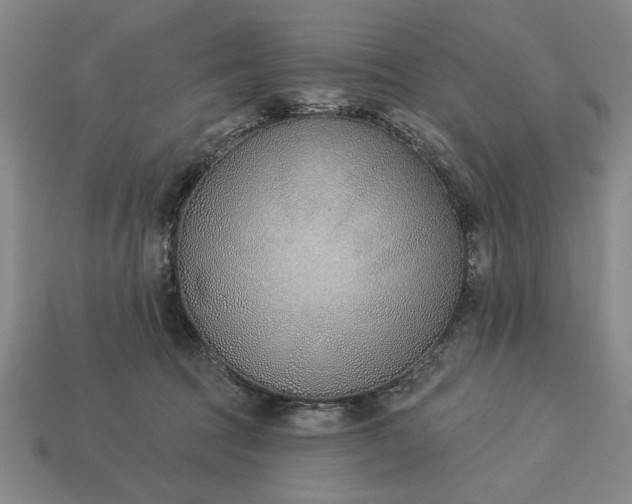 X0000113360369200909291035