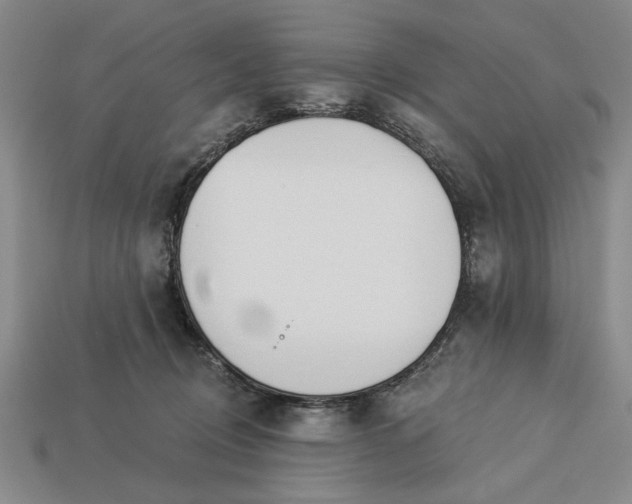 X0000113360370200909291035