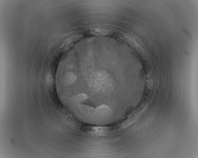 X0000113360371200909291035