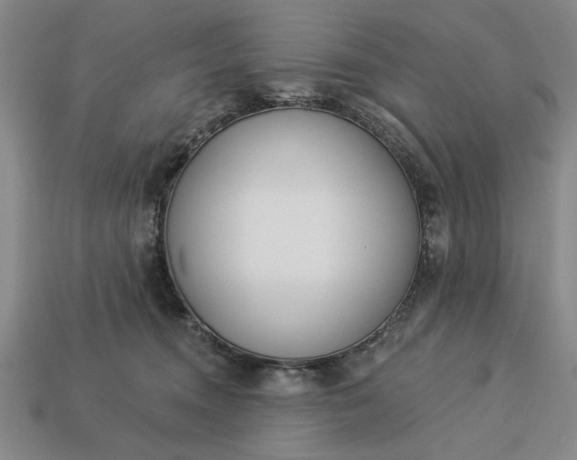 X0000113360372200909291035